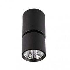 Griestu lampa SPL-2854-1-SC-BL цена и информация | Потолочные светильники | 220.lv