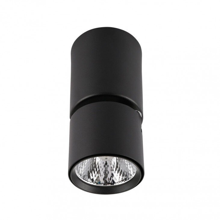 Griestu lampa SPL-2854-1-SC-BL cena un informācija | Griestu lampas | 220.lv