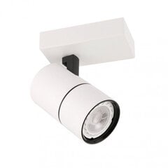 Griestu lampa SPL-2813-1B-WH цена и информация | Потолочные светильники | 220.lv