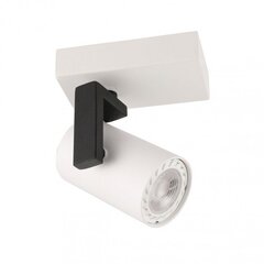 Griestu lampa SPL-2846-1 WH цена и информация | Потолочные светильники | 220.lv