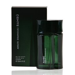 Мужская парфюмерия Bambú Adolfo Dominguez EDT: Емкость - 120 мл цена и информация | Мужские духи | 220.lv