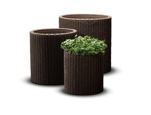 Набор цветочных горшков Cylinder Planters S+M+L, коричневый цена и информация | Ящики для рассады | 220.lv