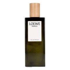 Мужская парфюмерия Esencia Loewe (50 ml) цена и информация | Мужские духи | 220.lv