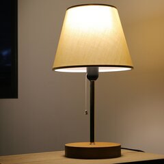 Opviq настольная лампа AYD - 2647 цена и информация | Настольные лампы | 220.lv