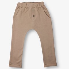 Детские повседневные штаны, коричневые цена и информация | Штаны для мальчиков | 220.lv