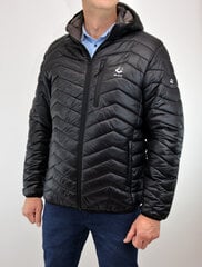 Куртка мужская Freestep 041 big, синяя цена и информация | Мужские куртки | 220.lv