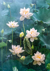 CherryPazzi головоломка White Lotus 1000 дет. цена и информация | Пазлы | 220.lv