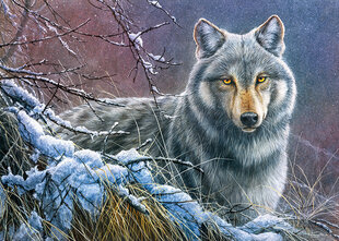 Пазл CherryPazzi Grey Wolf 1000 д. цена и информация | Пазлы | 220.lv