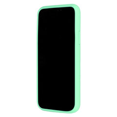 Silikona telefona vāciņš paredzēts iPhone 13 Pro Max, gaiši zaļš цена и информация | Чехлы для телефонов | 220.lv