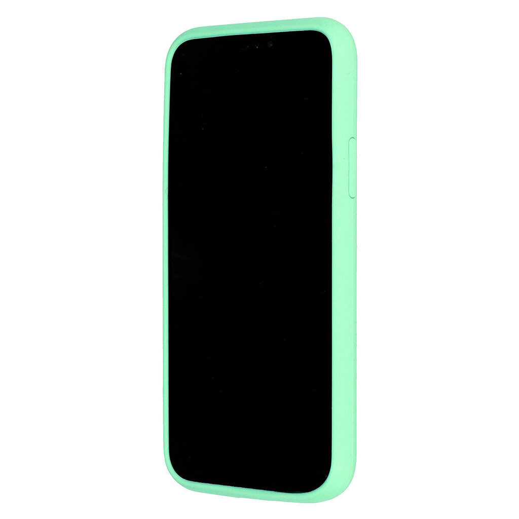 Silikona telefona vāciņš paredzēts iPhone 13 Pro, gaiši zaļš cena un informācija | Telefonu vāciņi, maciņi | 220.lv