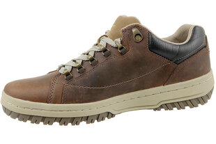 Vīriešu apavi Caterpillar Apa P711584 cena un informācija | Vīriešu kurpes, zābaki | 220.lv