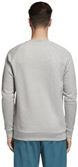 Мужской джемпер Adidas Originals Trefoil Crew CY4573, серый цена и информация | Мужские толстовки | 220.lv