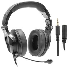 Plugger Studio DJH40-M цена и информация | Наушники с микрофоном Asus H1 Wireless Чёрный | 220.lv