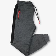 Утепленные штаны для мальчиков, серые цена и информация | Штаны для мальчиков | 220.lv