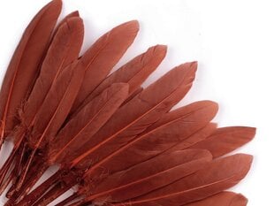 Утиные перья, коричневый цвет, 20 шт. цена и информация | Аппликации, декорации, наклейки | 220.lv