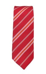 Узкий галстук для мужчин G.Lehmann цена и информация | Галстуки, бабочки | 220.lv