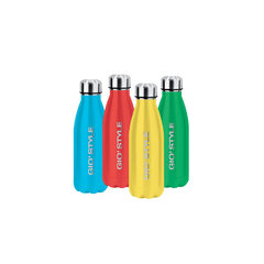 Термос-бутылка Energy 0.35 л: красный / голубой / желтый / зеленый цена и информация | Кухонные принадлежности | 220.lv