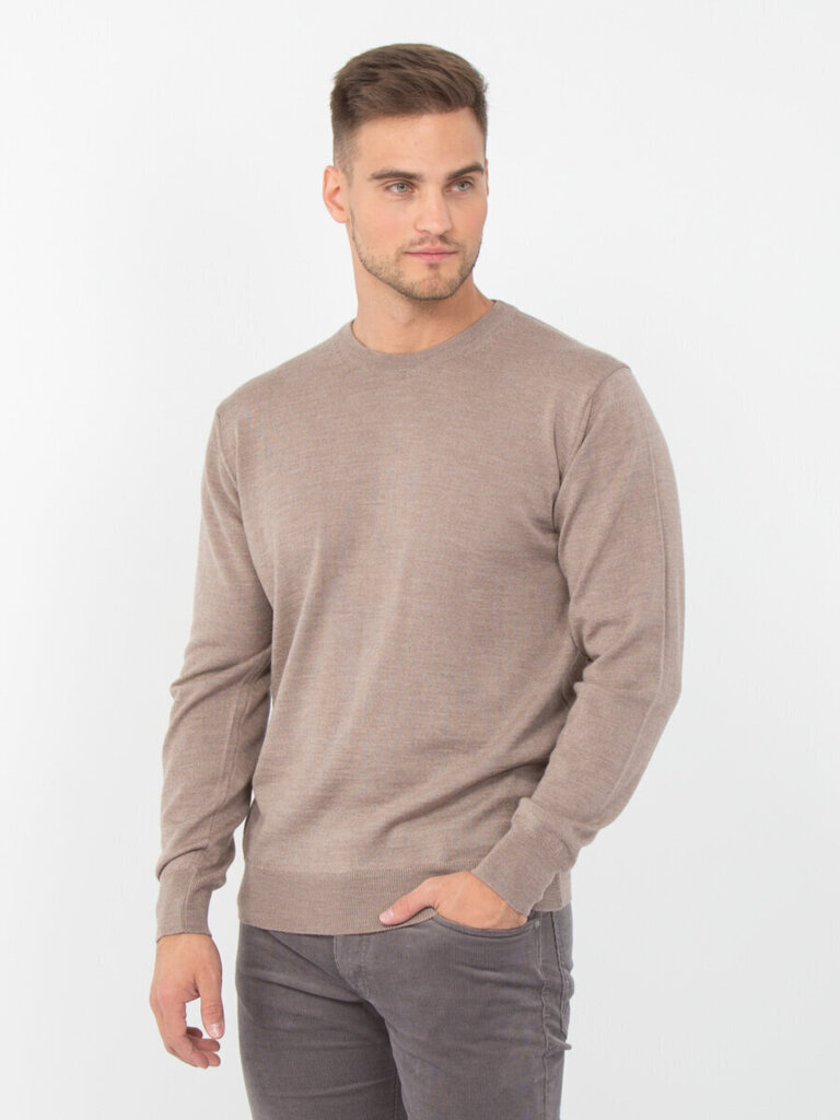 Džemperis STORGIO 5006 beige M07407 3XL 21W cena un informācija | Vīriešu džemperi | 220.lv