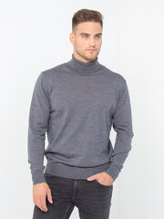 Džemperis STORGIO 5007 dark grey M69520 3XL 21W цена и информация | Мужские свитера | 220.lv
