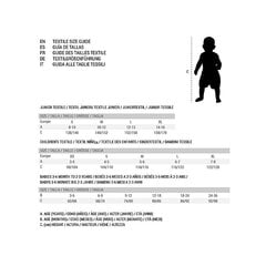Bērnu Sporta Krekls ar Kapuci Nike 342S-GEH Pelēks cena un informācija | Zēnu jakas, džemperi, žaketes, vestes | 220.lv