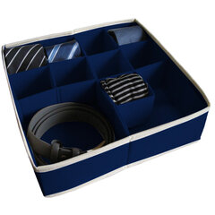 Kaste ar sadaļām, L 30,5x30,5x10 cm, Blue cena un informācija | Veļas grozi un mantu uzglabāšanas kastes | 220.lv