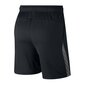 Nike vīriešu šorti, melnā krāsā XL cena un informācija | Sporta apģērbs vīriešiem | 220.lv