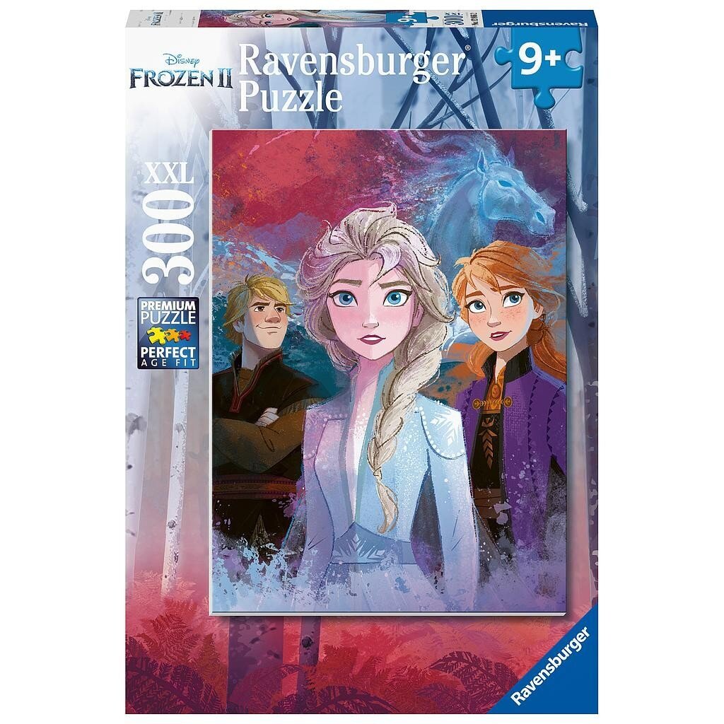 RavensBurger: XXL 300EL puzzle. - ledus zeme 2 цена и информация | Puzles, 3D puzles | 220.lv