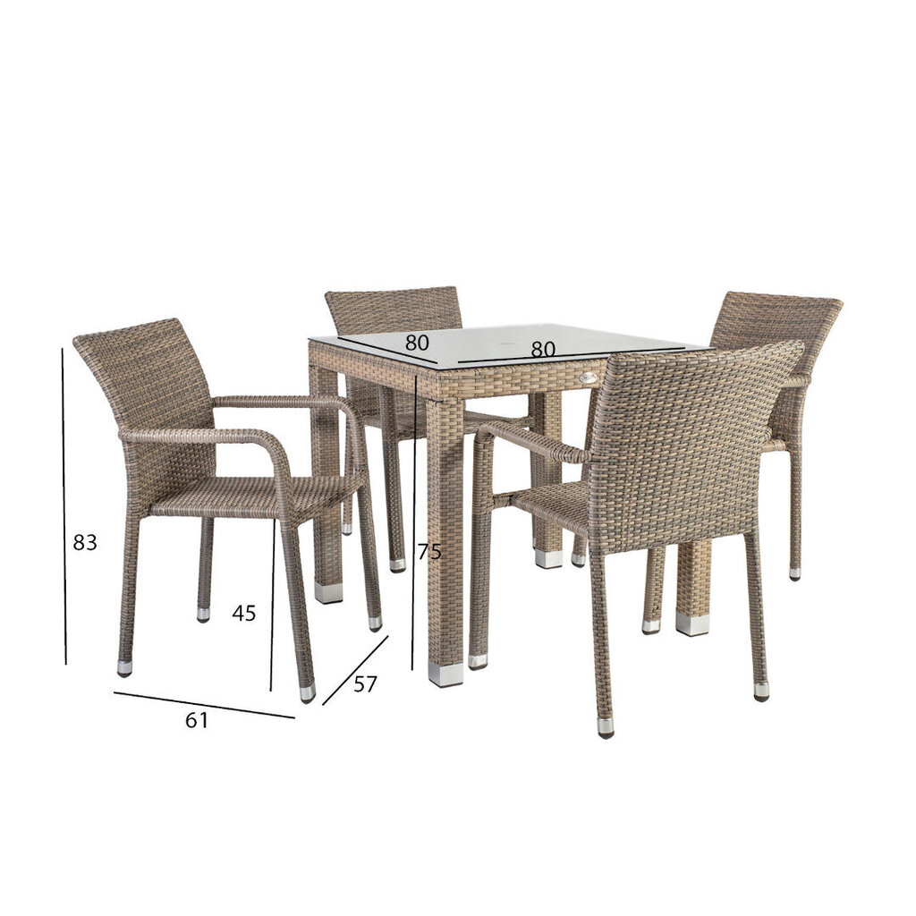 Dārza mēbeļu komplekts Larache III galds un 4 krēsli (999821560), pelēks/caurspīdīgs stikls cena un informācija | Dārza mēbeļu komplekti | 220.lv
