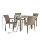 Dārza mēbeļu komplekts Larache III galds un 4 krēsli (999821560), pelēks/caurspīdīgs stikls цена и информация | Dārza mēbeļu komplekti | 220.lv