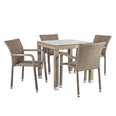 Dārza mēbeļu komplekts Larache III galds un 4 krēsli (999821560), pelēks/caurspīdīgs stikls cena un informācija | Dārza mēbeļu komplekti | 220.lv