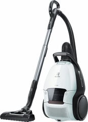 Мешковый пылесос Electrolux PD91-6IWX цена и информация | Пылесосы | 220.lv