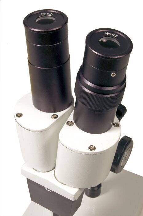 Levenhuk 2ST cena un informācija | Teleskopi un mikroskopi | 220.lv