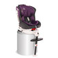 Autokrēsliņš Lorelli Pegasus, Isofix, 0-36 kg, Grey&Violet цена и информация | Autokrēsliņi | 220.lv