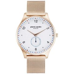 Мужские часы Pierre Cardin A.PC902671F202 цена и информация | Мужские часы | 220.lv