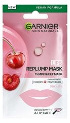 Garnier Skin Naturals tvirtumu piešķiroša lūpu maska ar ķiršu ekstraktu 5 g cena un informācija | Sejas maskas, acu maskas | 220.lv