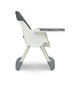 Barošanas krēsls Caretero Bill 2in1, pelēks цена и информация | Barošanas krēsli | 220.lv