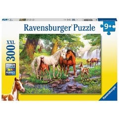 Ravensburger puzle 300 gab. Zirgi цена и информация | Пазлы | 220.lv