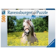 Ravensburger puzle 500 gab. Baltais zirgs цена и информация | Пазлы | 220.lv