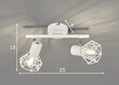 Griestu lampa Ran, balta, 2x 40 W цена и информация | Griestu lampas | 220.lv