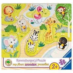 Ravensburger koka puzle 8 gab., Zoodārzs cena un informācija | Puzles, 3D puzles | 220.lv