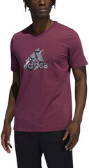 Adidas Футболки Rr Ss Tee Purple H38247 H38247/XL цена и информация | Мужские футболки | 220.lv