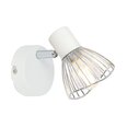 Candellux sienas gaismeklis Fly White