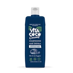 Pretblaugznu šampūns Scalp Shampoo 400 ml цена и информация | Шампуни | 220.lv