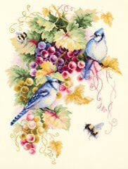 Набор для вышивания Magic Needle «Blue Jay and Grapes» 130-022 цена и информация | Принадлежности для вышивания | 220.lv