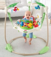 Ходунки Fisher Price Rainforest цена и информация | Шезлонги и качели | 220.lv