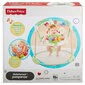 Fisher price izlēcējs Rainforest cena un informācija | Bērnu šūpuļkrēsliņi | 220.lv