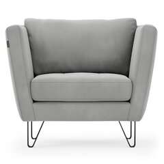 Кресло Homede Deltin, серое цена и информация | Кресла в гостиную | 220.lv