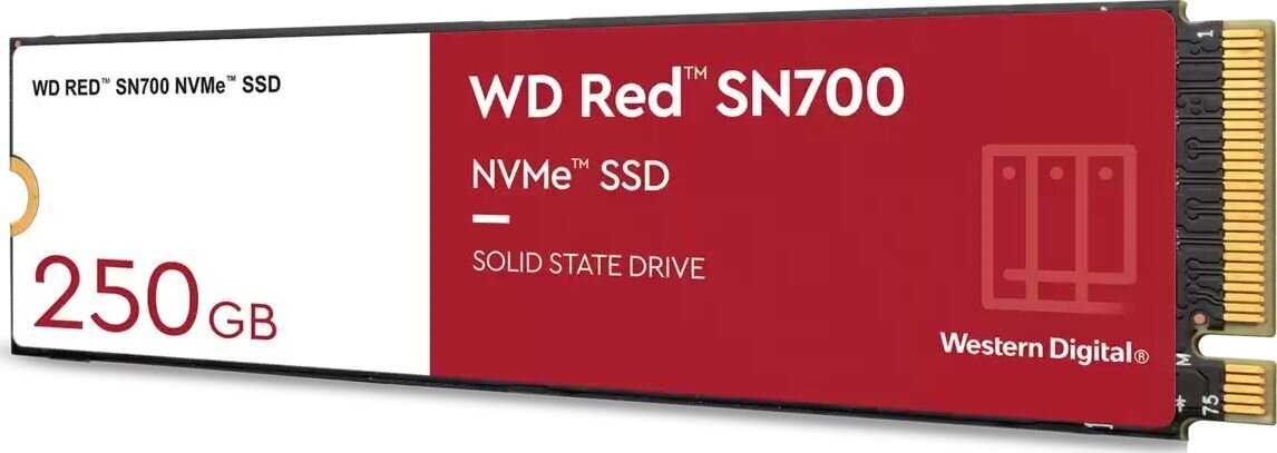 WD WDS250G1R0C цена и информация | Iekšējie cietie diski (HDD, SSD, Hybrid) | 220.lv