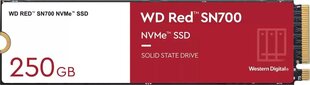 WD WDS250G1R0C цена и информация | Внутренние жёсткие диски (HDD, SSD, Hybrid) | 220.lv