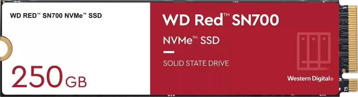 WD WDS250G1R0C цена и информация | Iekšējie cietie diski (HDD, SSD, Hybrid) | 220.lv